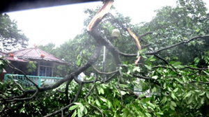 Bão số 2 đã gây thiệt hại tại TP Móng Cái.