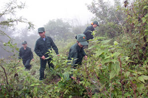 Lực lượng dân quân xã Lạc Lương (Yên Thủy)  tích cực tham gia phòng chống cháy rừng.