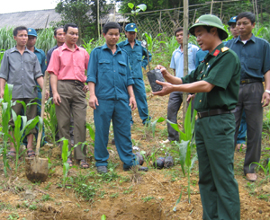 CB, CS Ban CHQS huyện hướng dẫn nhân dân xóm Bái Tam, xã Đú Sáng kỹ thuật trồng mít Thái nhằm xóa bỏ vườn tạp.