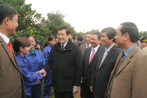 Chủ tịch nước Trương Tấn Sang và các đồng chí lãnh đạo tỉnh thăm hỏi công nhân Công ty TNHH MTV Cao Phong. Ảnh: Lê Chung.