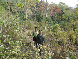 Cán bộ Hạt kiểm lâm huyện Kim Bôi bám sát địa bàn, cơ sở, tham mưu cho chính quyền thực hiện tốt trách nhiệm quản lý Nhà nước về rừng và đất lâm nghiệp.