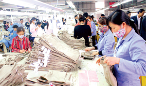 Công ty May xuất khẩu Seyoung INC là doanh nghiệp Hàn Quốc đầu tiên đầu tư tại KCN Lương Sơn quy mô 3 triệu sản phẩm/năm, duy trì việc làm cho 850 lao động địa phương.
