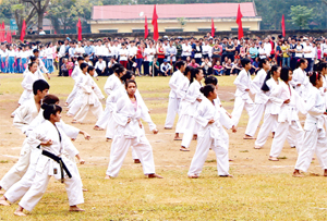 Môn võ karatedo ở huyện Tân Lạc  ngày càng thu hút  đông đảo  thanh - thiếu niên  tham gia.