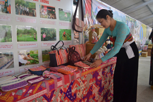 Chị Vì Thị Oanh tự hào giới thiệu với những sản phẩm độc đáo của HTX dệt thổ cẩm Chiềng Châu khi tham gia triển lãm các sản phẩm nổi bật của ngành NN&PTNT tỉnh Hòa Bình năm 2015.