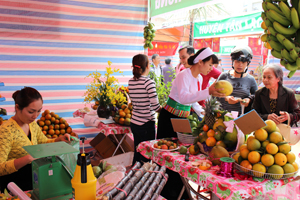 Thông qua tổ chức các hội chợ tại tỉnh đã tạo cơ hội quảng bá, giới thiệu các sản phẩm thế mạnh, đặc trưng của mỗi địa phương (gian hàng giới thiệu sản phẩm cam, mía đặc sản của huyện Cao Phong thu hút khách thăm quan, mua sắm).