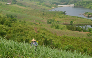 Mặc dù UBND huyện Cao Phong đã có thông báo về việc phải di chuyển toàn bộ diện tích cây có múi đã trồng không đúng quy định ra khỏi đầu nguồn hồ Cạn Thượng xong trước ngày 30/4/2016 nhưng đến ngày 17/6/2016, việc di chuyển chưa được các hộ dân thực hiện. Ngoài ra, người dân vẫn sử dụng thuốc diệt cỏ ngay trên đầu nguồn nước.