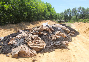 Khu vực rừng tràm nơi phát hiện 100 tấn chất thải tự chôn lấp của Formosa