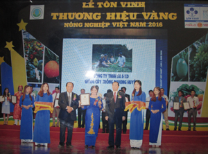 Đại diện công ty TNHH SX & KD Phương Huyền nhận giải thưởng Thương hiệu Vàng nông nghiệp Việt Nam năm 2016. 
