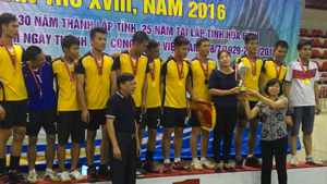 Lãnh đạo LĐLĐ tỉnh, Sở Văn hóa TT và DL trao cúp cho đội LĐLĐ huyện Lạc Thủy vô địch 2 mùa giải liển tục.
