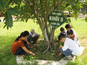 Cô và trò trường tiểu học Yên Tri chăm sóc vườn cay tạo cảnh quan xanh sạch đẹp cho nhà trường.