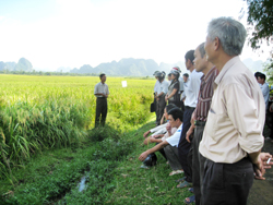 Mô hình giống lúa mới cho năng suất 58 tạ/ha thực hiện tại xóm Lòng, xã Yên Trị, huyện Yên Thuỷ