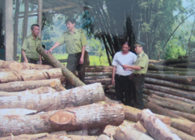 Cán bộ kiểm lâm huyện Mai Châu thường xuyên kiểm tra việc khai thác lâm sản trên địa bàn.