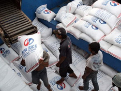 Đóng bao, vận chuyển gạo xuất khẩu