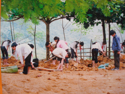 Thiếu nhi huyện Tân Lạc tham gia xây dựng nhà trường xanh - sạch - đẹp