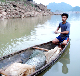 Khai thác nguồn lợi thủy sản trên vùng lòng hồ đã góp phần nâng cao chất lượng cuộc sống của người dân ở Tân Dân