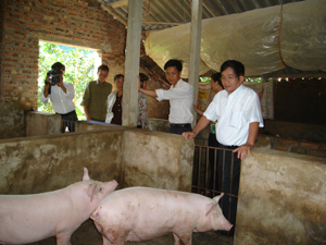 Mô hình nuôi lợn hướng nạc, sử dụng hầm biôga của gia đình bà Nguyễn Thị Lý, xóm Yên Sơn, xã Yên Lạc (Yên Thuỷ) cho năng suất cao, giảm ô nhiễm môi trường.