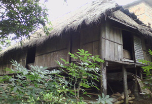 Một ngôi nhà sàn cổ của người Mường tại xóm Nội Sung xã Hạ Bì (Kim Bôi).