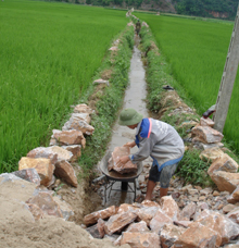 Nông dân xã  An Lạc củng cố hệ thống kênh mương nội đồng đảm bảo  nguồn nước tưới  ổn định cho diện tích lúa vụ mùa.