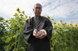 Từ cuối tháng 5, Koyu Abe, nhà sư tại ngôi đền Joenji tại tỉnh Fukushima, đông bắc Nhật Bản, đã tổ chức một nhóm tình nguyện để phân phát các hạt hướng dương cho người dân địa phương cùng trồng.