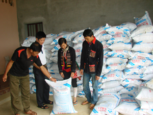 Nhiều hộ ở Thung Dao (Tú Sơn - Kim Bôi) cung ứng dịch vụ, bao tiêu nông sản cho nông dân.