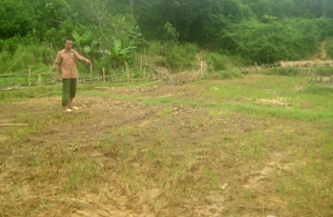 0,93 ha lúa vụ chiêm - xuân năm 2012 của nhân dân xóm Mỗ 2 đã bị đất đá vùi lấp, mất trắng hoàn toàn.