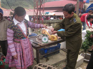 Cán bộ Đội QLTT huyện Mai Châu bám sát, kiểm soát hoạt động thị trường các chợ nông thôn.
 ảnh: Kiểm tra trọng lượng và nguồn gốc thực phẩm tại chợ Pà Cò (Mai Châu).
