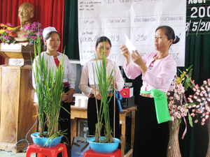 Chị em phụ nữ xã Tân Lập (Lạc Sơn) tích cực học tập, áp dụng tiến bộ KH-KT trong lai tạo các giống lúa.