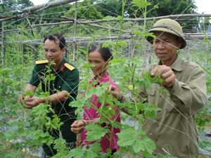 Cán bộ chiến sĩ LLVT huyện Kim Bôi tích cực tham gia giúp đỡ nhân dân ở những vùng ĐBKK chuyển đổi cơ cấu cây trồng, phát triển kinh tế gia đình.
