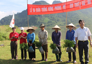 Bà Nguyễn Thị Đào, Chủ tịch Hội CTĐ tỉnh trao cây giống cho các hộ gia đình tham gia trồng rừng thuộc dự án.