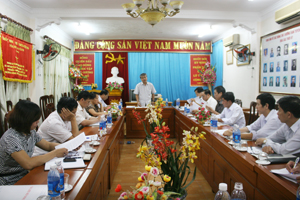 Đồng chí Hoàng Thanh Mịch, TVTU, Trưởng ban Tuyên giáo Tỉnh ủy phát biểu tại buổi họp.