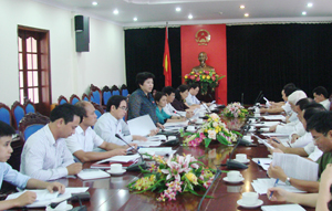 Đồng chí Nguyễn Thúy Anh, Phó Chủ nhiệm Ủy ban về các vấn đề xã hội của Quốc hội phát biểu ý kiến tại buổi làm việc với UBND tỉnh.