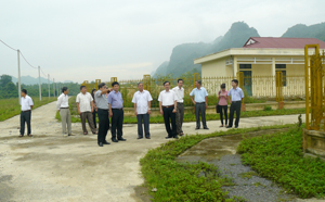 Khu tái định cư cho 50 hộ dân xã Tân Mai, Phúc Sạn huyện Mai Châu tại đội 4, xã Đồng Tâm, huyện Lạc Thuỷ.