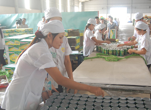 Đến nay, các doanh nghiệp tại các KCN của tỉnh giải quyết việc làm và tạo thu nhập ổn định cho gần 1 vạn lao động. Ảnh: Công nhân Công ty TNHH Minh Trung (KCN Lương Sơn) kiểm tra sản phẩm cháo sen Bát Bảo trước khi xuất ra thị trường.

