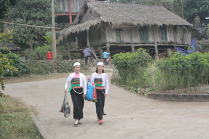 Bản Giang Mỗ, xã Bình Thanh (Cao Phong) lưu giữ  nhiều nét văn hoá truyền thống của dân tộc Mường thu hút du khách trong nước và quốc tế.

