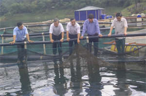 Đồng chí Trần Đăng Ninh, Phó Bí thư Thường trực Tỉnh uỷ tìm hiểu tình hình nuôi cá lồng trên vùng hồ Hòa Bình tại xã Hiền Lương (Đà Bắc).
