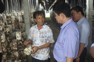 Đồng chí Nguyễn Văn Dũng, Phó Chủ tịch UBND tỉnh và Đoàn kiểm tra tham quan mô hình trồng nấm tại thôn Đồng Phú, xã Đồng Tâm.
