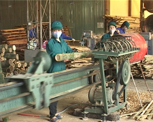 Dây chuyền trẻ tre, luồng của Nhà máy tre ép tấm và viên nén công nghiệp của Công ty BWG Mai Châu tại Cụm công nghiệp Chiềng Châu.