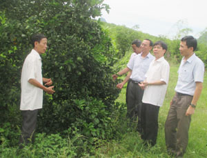 Từ mô hình trang trại tổng hợp, ông Đặng Văn Sinh ở thôn Đồng Huống đạt doanh thu trên 2 tỷ đồng/năm.