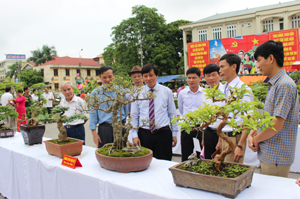 Đồng chí Trần Đăng Ninh, Phó Bí thư TT Tỉnh ủy cùng các đại biểu thăm quan sản phẩm sinh vật cảnh tại triển lãm.