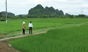 Hệ thống kênh mương xã Yên Lạc (Yên Thuỷ) được đầu tư kiên cố phục vụ sản xuất nông nghiệp.
