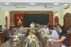 Đồng chí Bùi Văn Tỉnh, Ủy viên BCH T.Ư Đảng, Bí thư Tỉnh ủy phát biểu kết luận buổi làm việc.