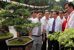 Chủ tịch nước Nguyễn Minh Triết thăm triển lãm cây cảnh, đá cảnh nghệ thuật (tại vườn hoa Lý Thái Tổ, Hà Nội).