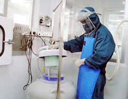 Kỹ thuật viên lưu trữ tế bào gốc màng dây rốn tại Ngân hàng tế bào gốc MekoStem