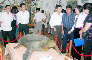 Đông đảo cán bộ, nhân dân tỉnh Hưng Yên thăm quan gian trưng bày hiện vật của Bảo tàng Hòa Bình tại thành phố Hưng Yên.