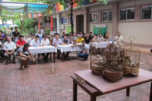 Hội thi Họa Mi chiến tỉnh Hòa Bình lần thứ 7 thu hút đông đảo người ưa chuộng tham gia.