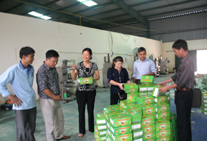 Đoàn kiểm tra chuyên ngành kiểm tra xưởng sản xuất tại cơ sở sang chai đóng gói hóa chất phục vụ nông nghiệp Nam Thịnh, xóm Cột Bài, xã Trường Sơn (Lương Sơn).