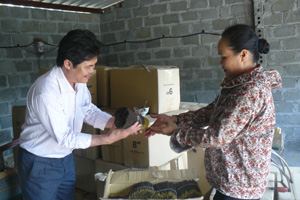 Lãnh đạo NHCSXH Kỳ Sơn thăm mô hình làm tăm hương  của chị Khuất Thị Anh, xóm  Dụ 5, xã Mông Hóa.