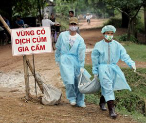 Tại ổ dịch cúm A/H5N1 xã Hợp Hòa (Lương Sơn), các biện pháp khống chế dịch đã được tuân thủ nghiêm ngặt.