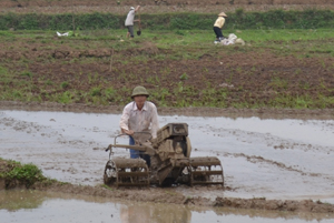 Người nông dân cần đọc kỹ hướng dẫn sử dụng trước khi vận hành máy nông nghiệp. Ảnh chụp tại xã Vĩnh Đồng (Kim Bôi).