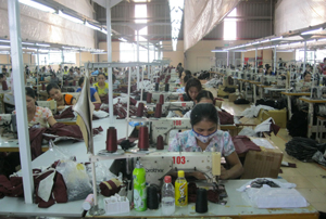 Công ty CP XNK SMAVINA Việt - Hàn vượt khó, tạo việc làm ổn định cho hơn 400 lao động với mức thu nhập bình quân trên 2 triệu đồng/người/tháng.